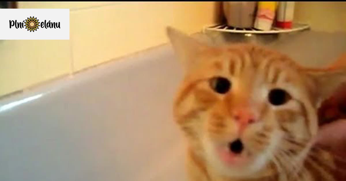 Panický strach z vody Plnielanu.sk