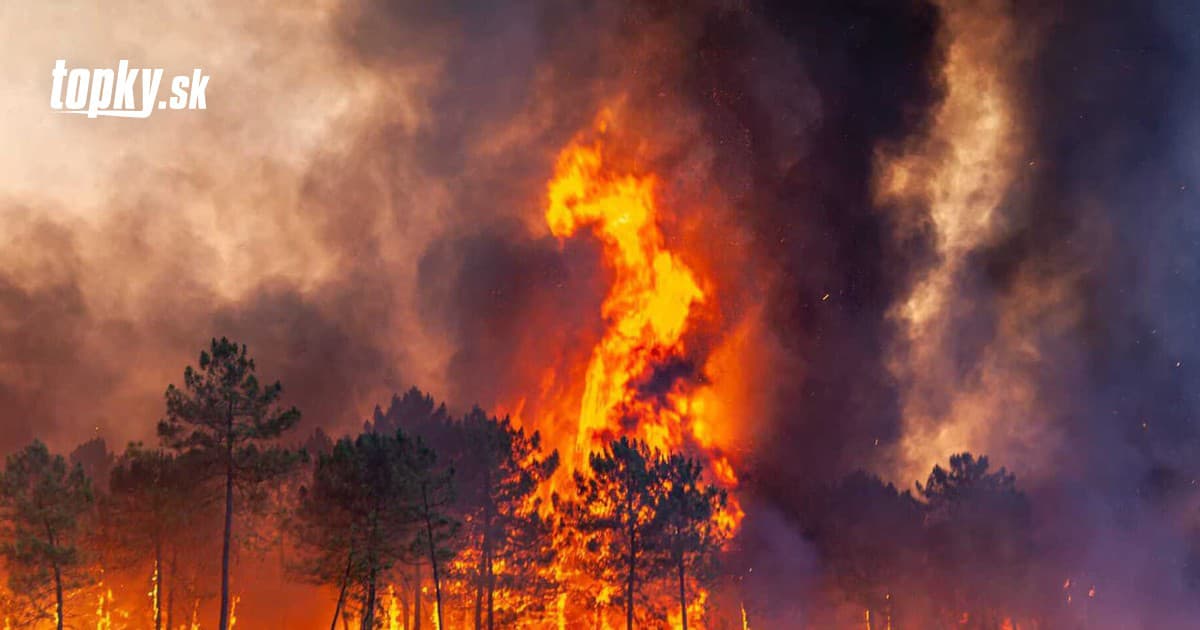 Nouveaux incendies en France et au Portugal : la chaleur est de retour