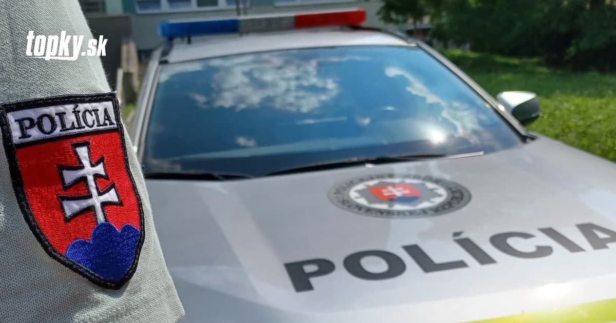 Die Polizei von Bratislava hat einen ukrainischen Hacker festgenommen, der deutsche Unternehmen in Rovinka erpresst hat