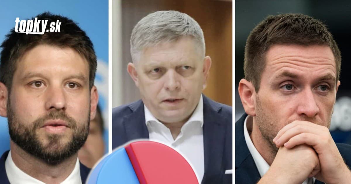 Unpacking the Reasons Behind Party Voting Among Slovaks: Key Motivations and Influences