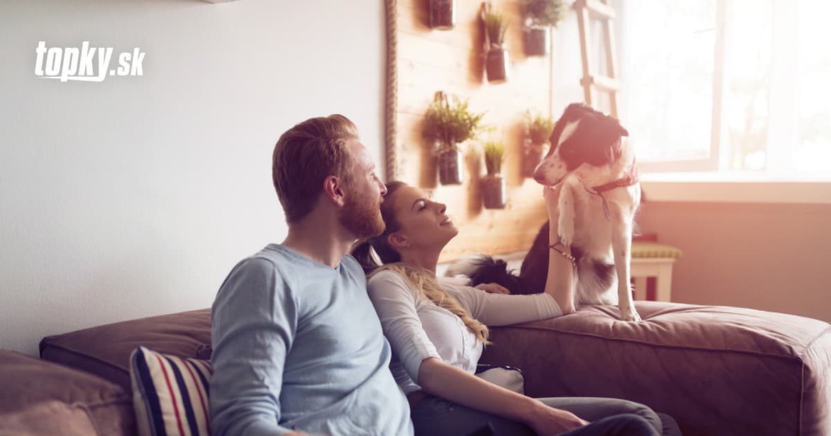 Online dating poistenie