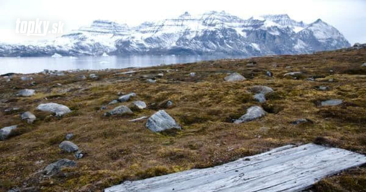 Découverte révolutionnaire au Groenland : découvrez ce que les scientifiques ont trouvé dans les sédiments gelés