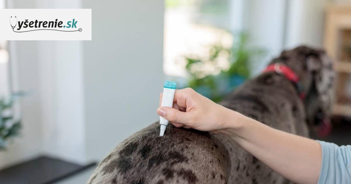 Giardia u psa leczenie Nagyszámú leukociták a prosztatagyulladásban