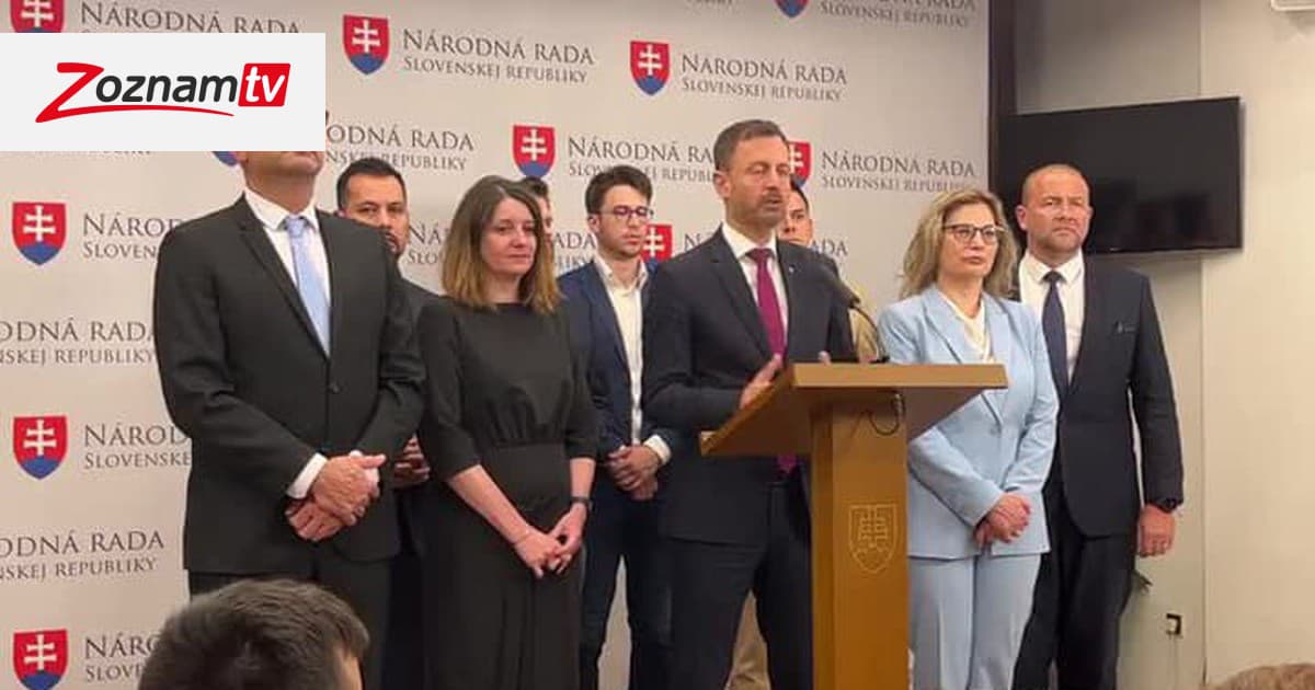 Tlačová Konferencia Strany Demokrati Po Ukončení 94 Schôdze Nr Sr Zoznamtv 3486